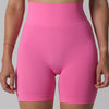 Seamless High-Waist Yoga Shorts